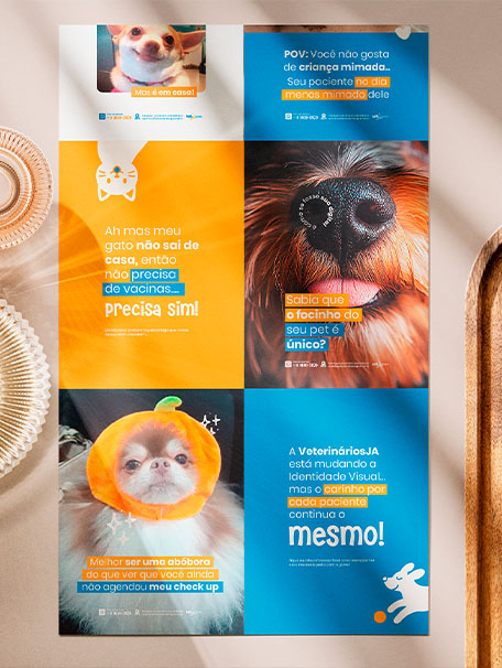 Projeto de posicionamento e marketing